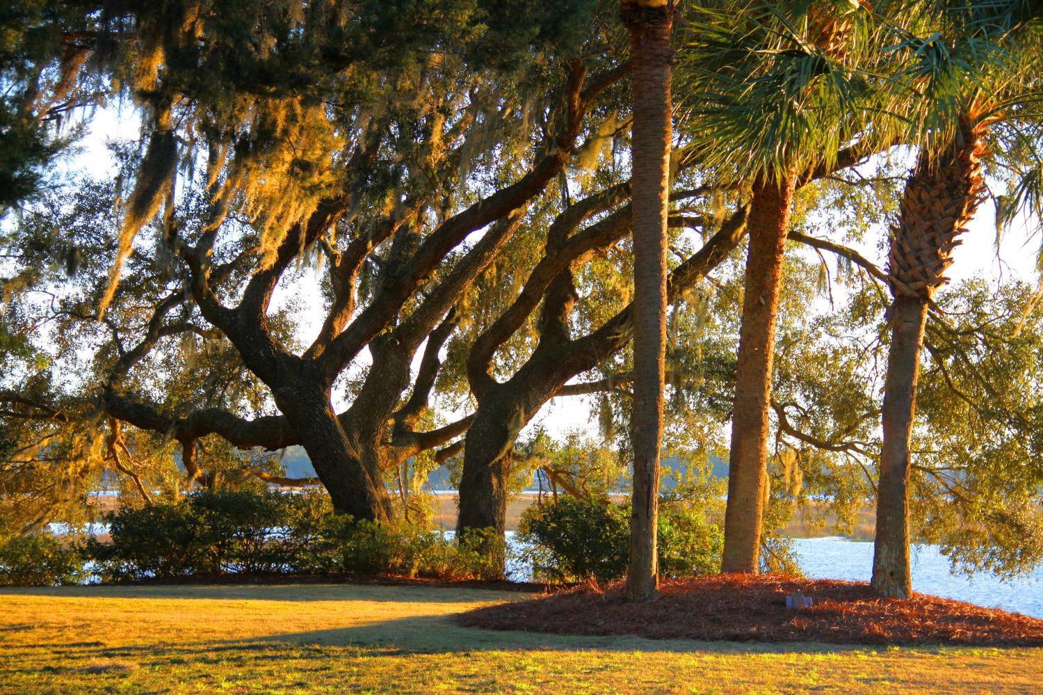 landscape south gallery