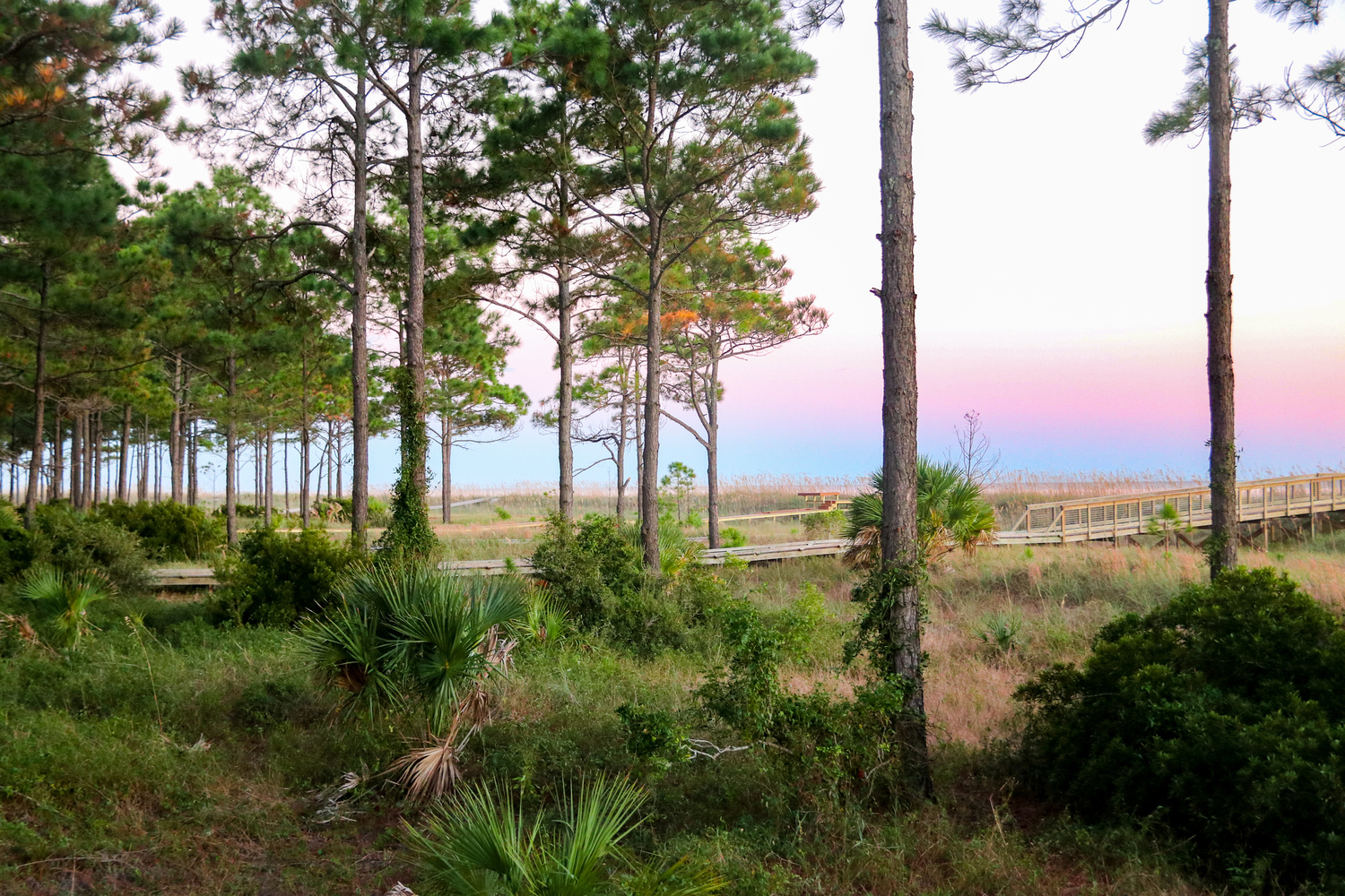 Tower beach at dusk