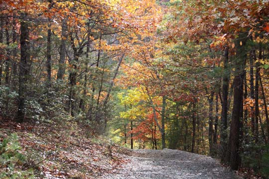 landscape-south-northcarolina