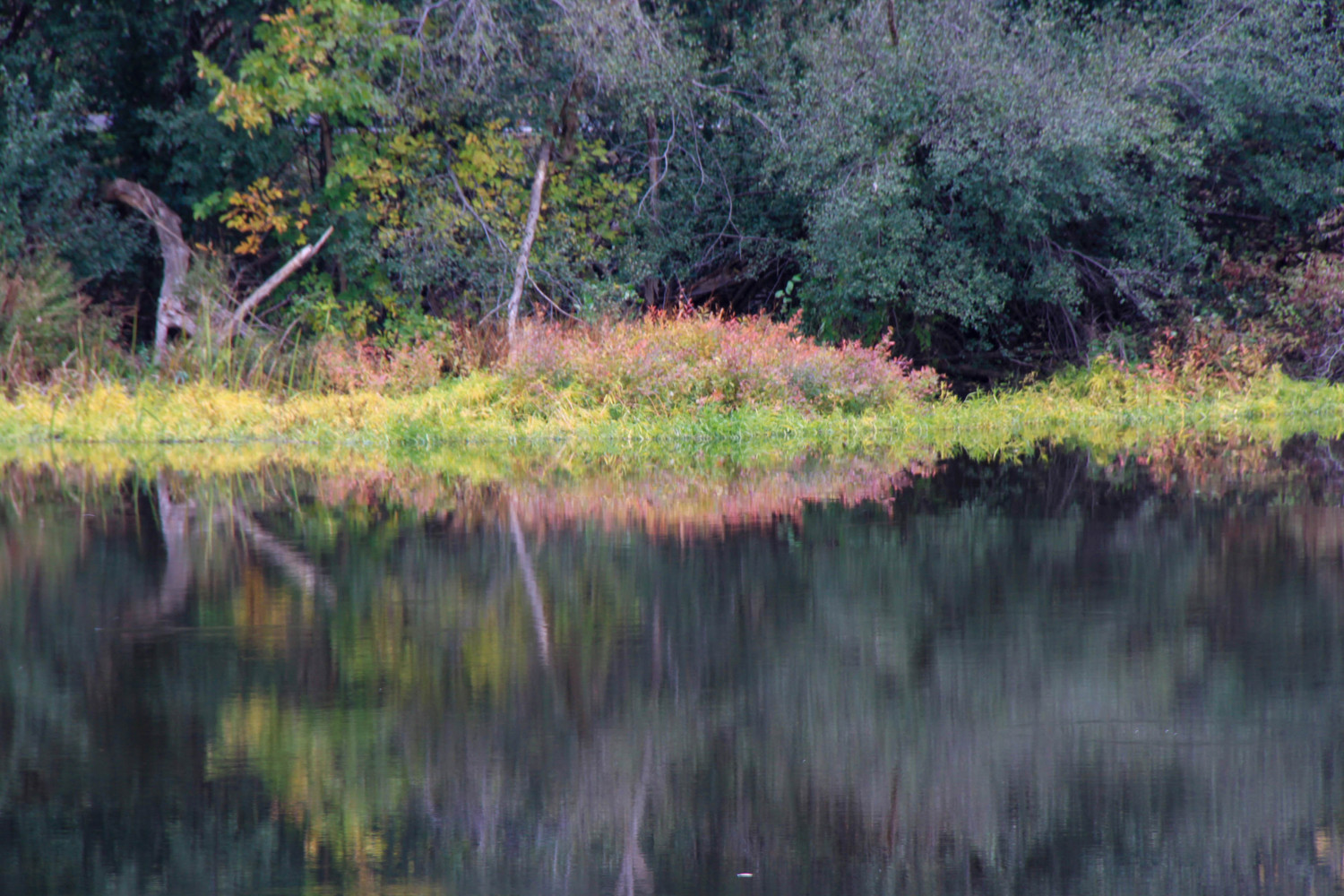 Huron River reflections