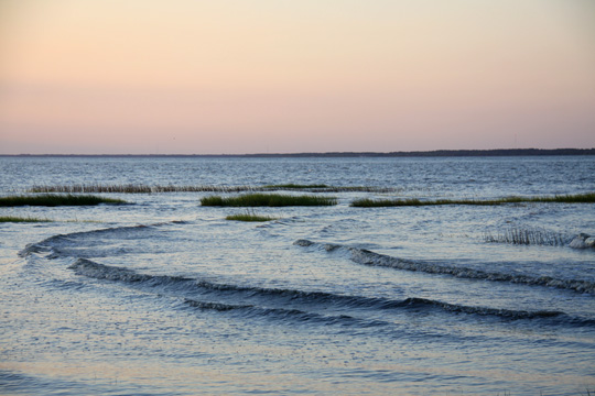 landscape south galelry