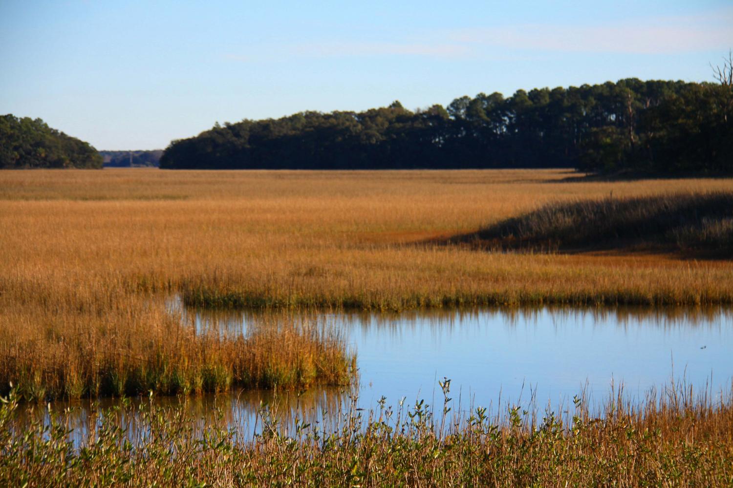 landscape south gallery