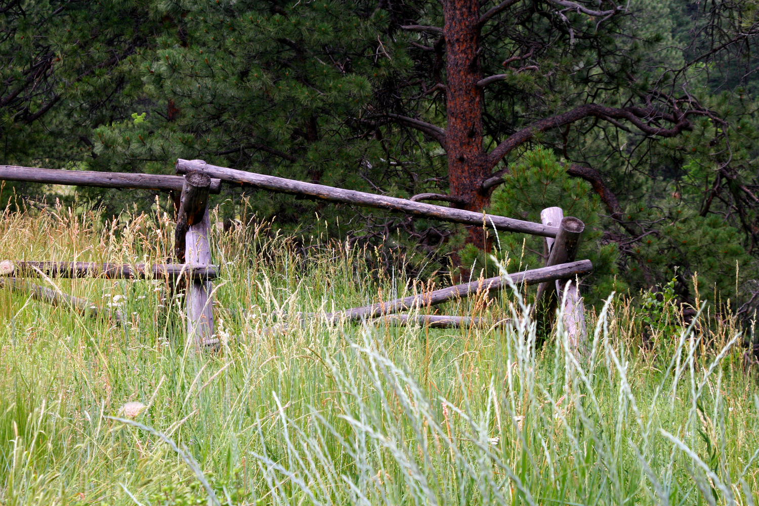 farm fence