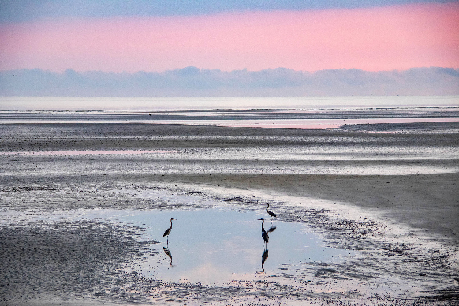 tide pools on Mitchelleville