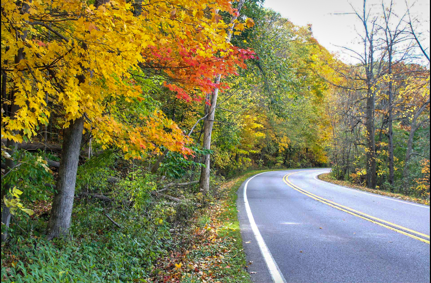 Huron River Drive in Fall