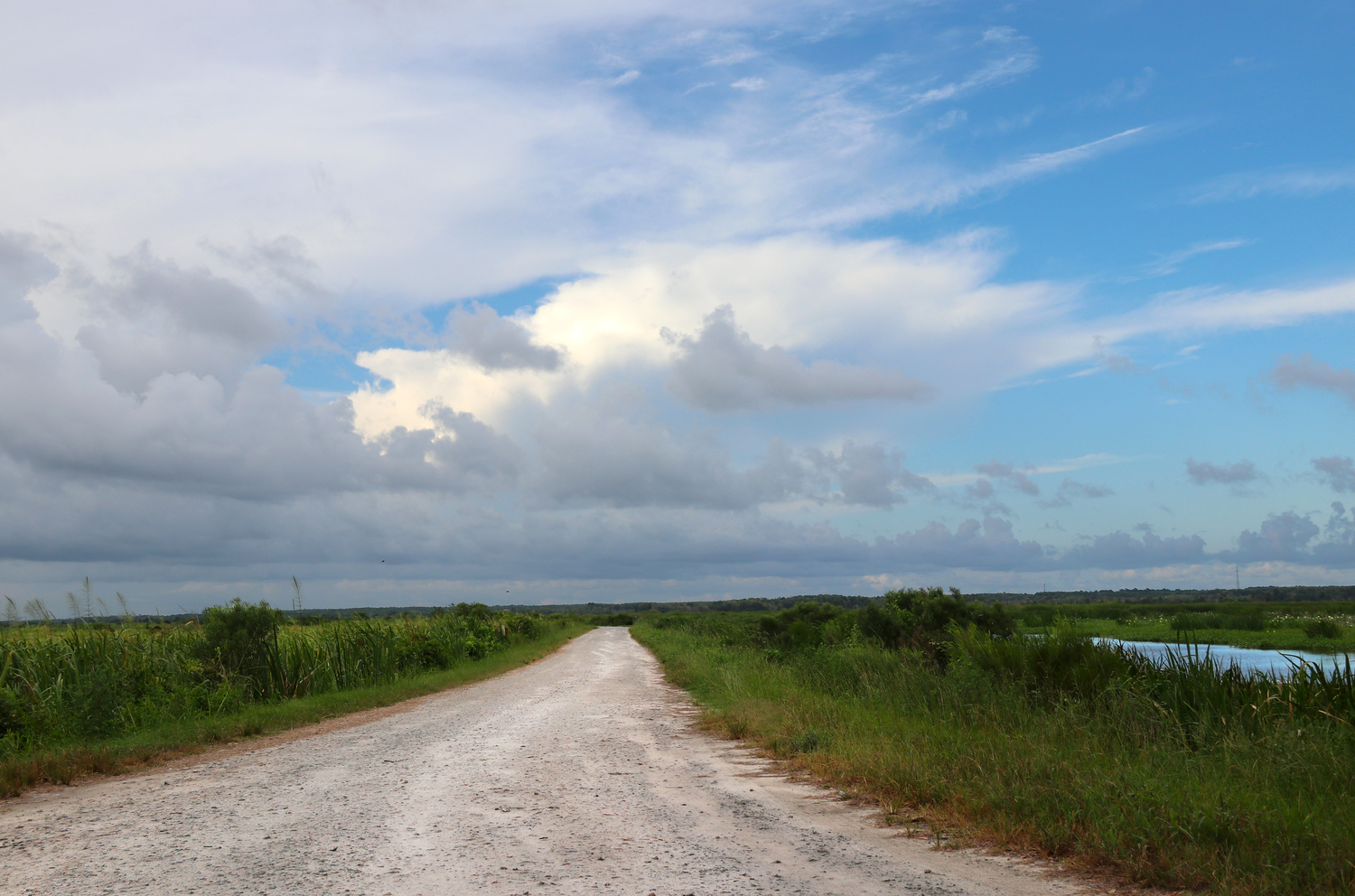 clouds on the marsh