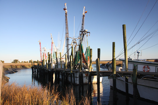 sc_shrimp boats_432