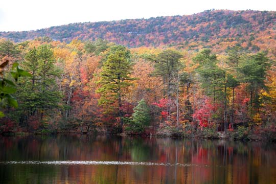 landscape-south-north carolina