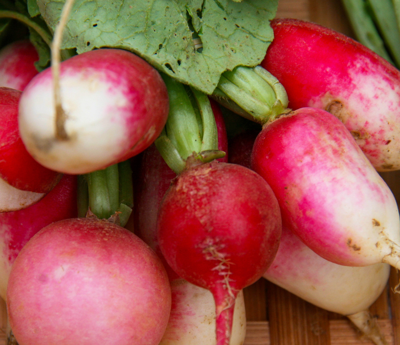 radishes