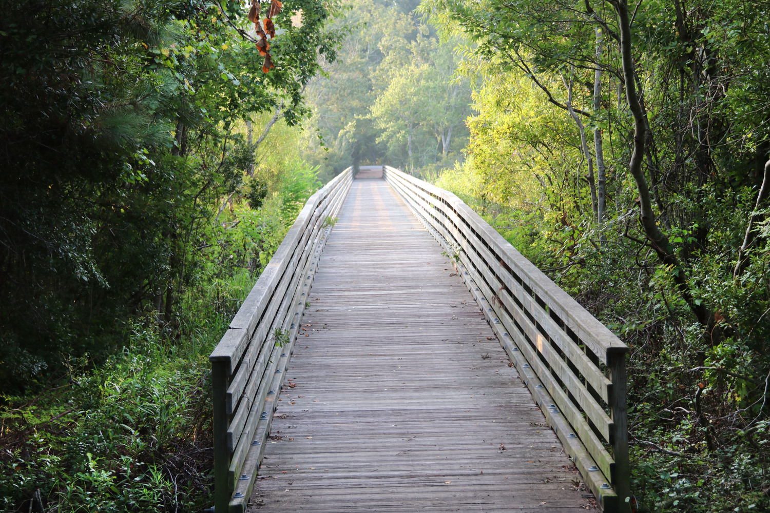 Fish Haul bridge