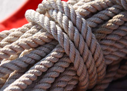 mi_Rope_0221