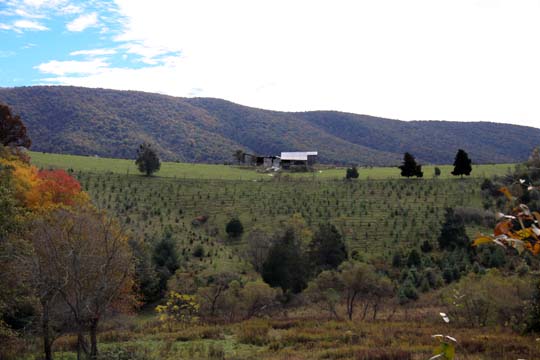 wv_farm in West VIrginia_ 073