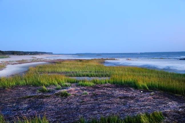 end of the marsh grass season_005