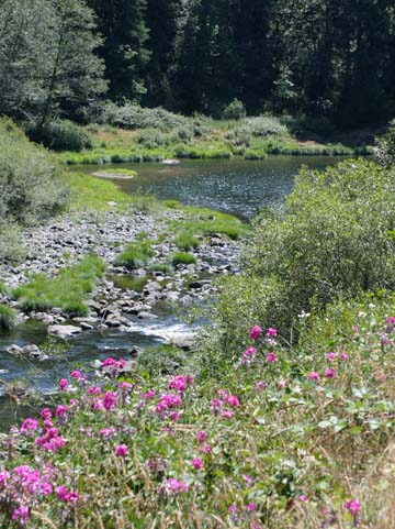 or_Meadow in Oregon