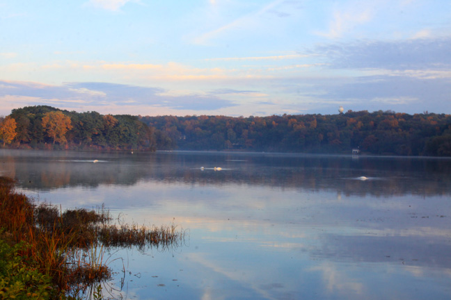 swan lake at Barton pond_193