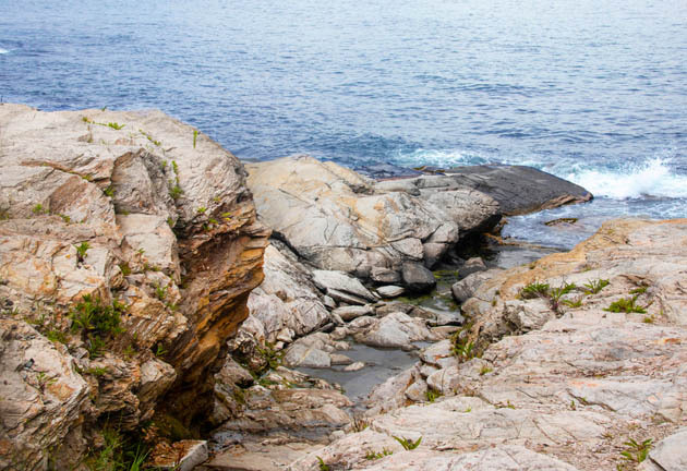 rocky shoreline_6981