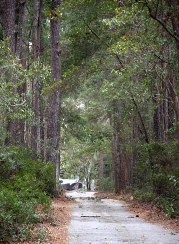 sc_lane on May River 019