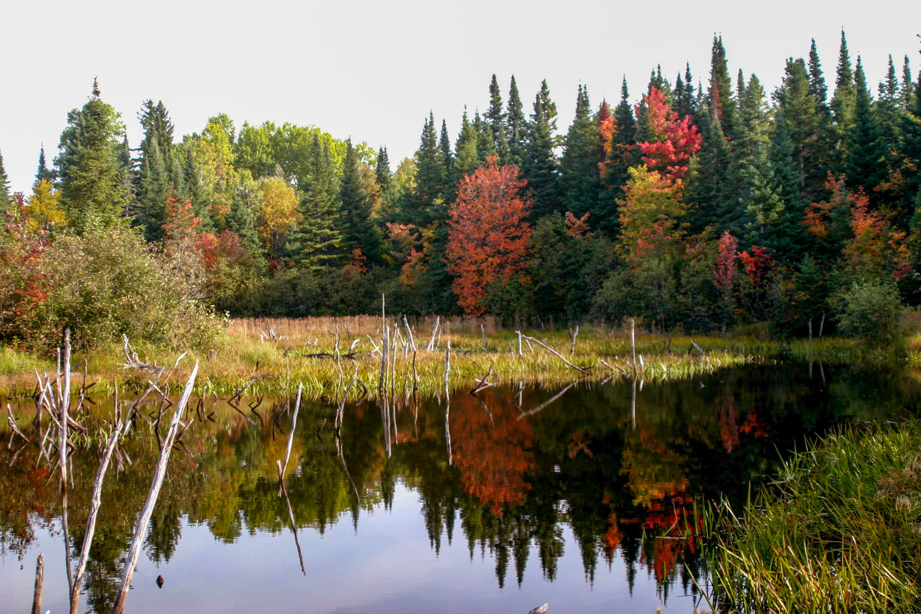 West Michigan in fall