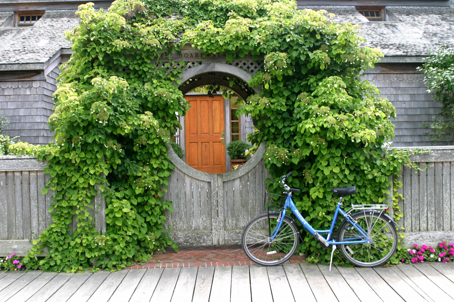 Mackinaw bicycle