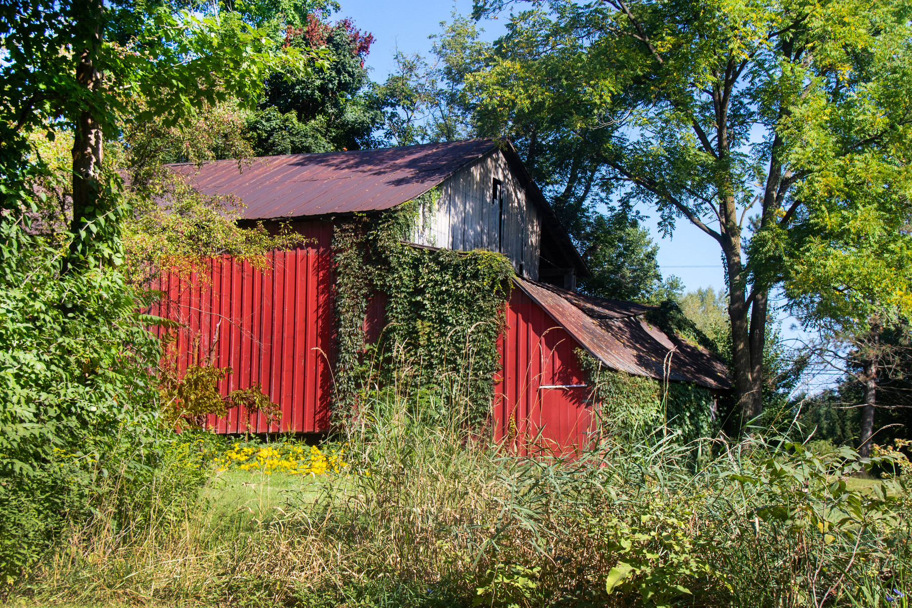 Grandpas barn