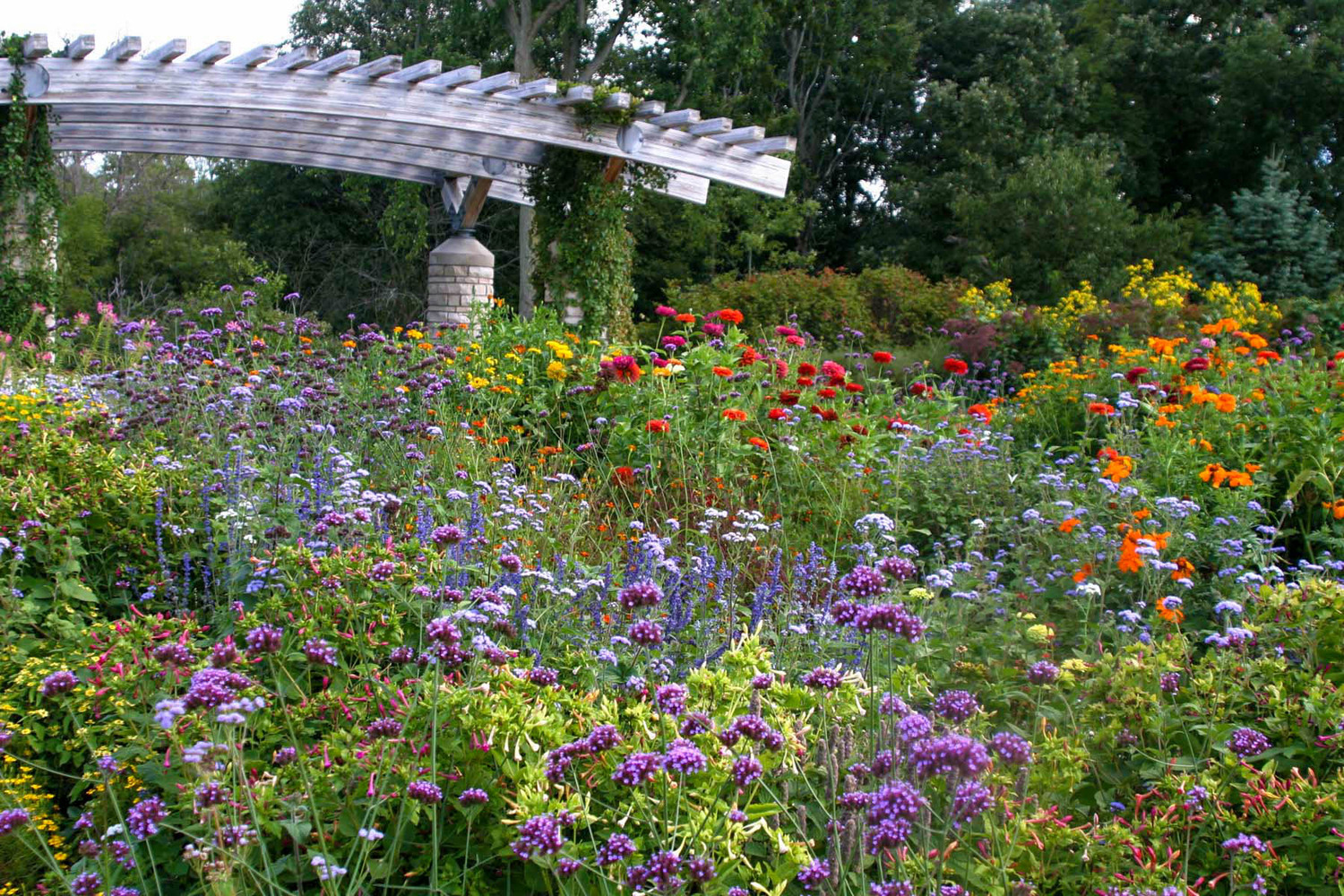 Matthai botanical gardens