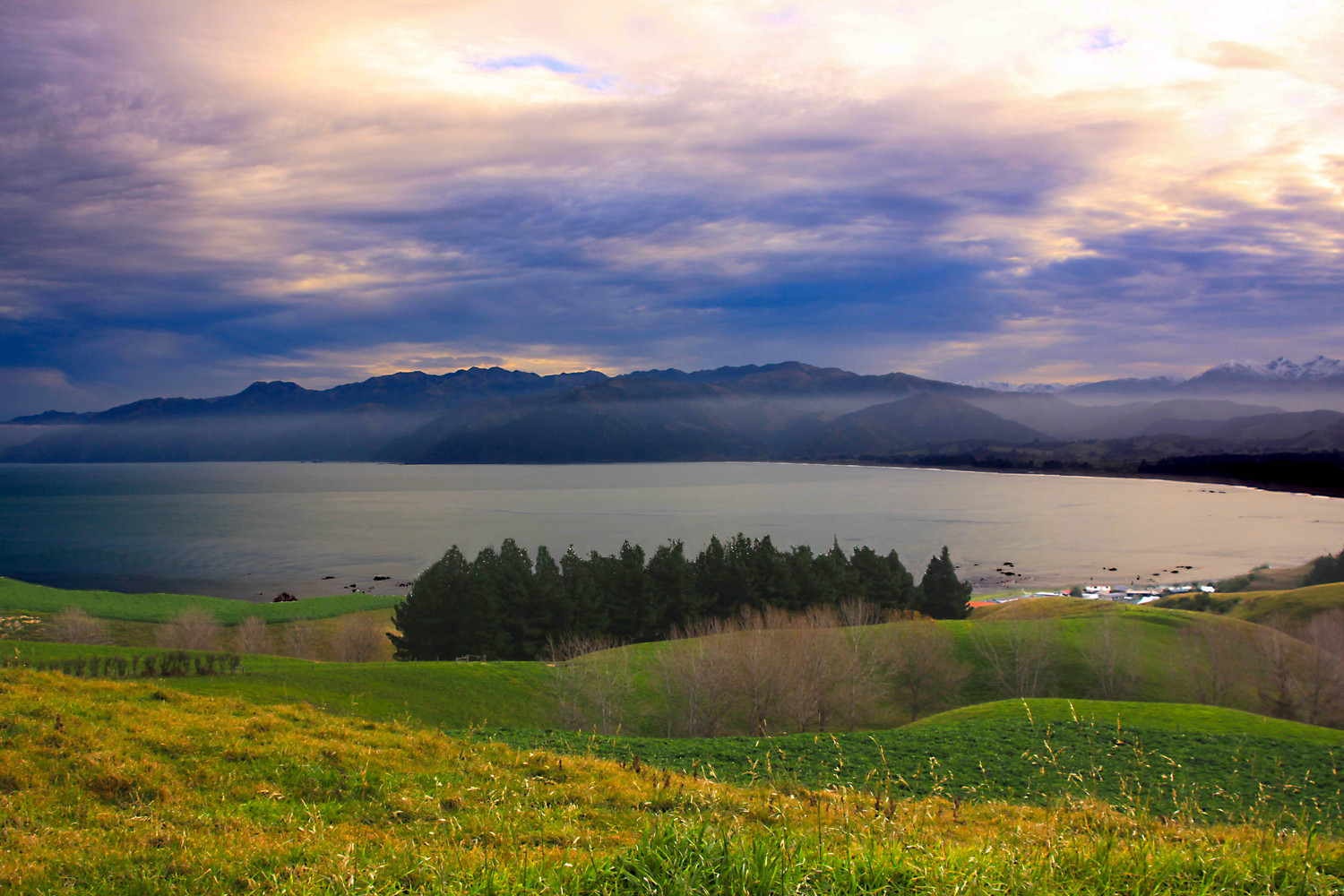 on a hilltop in NZ