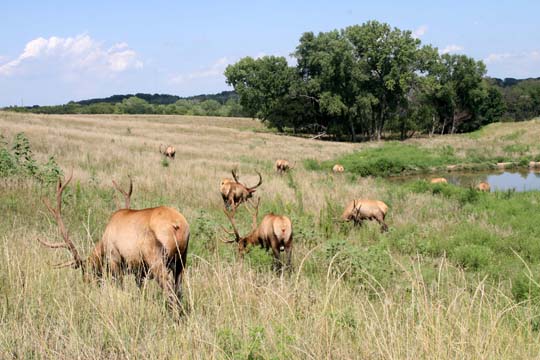 3_de_home home on the range_3256