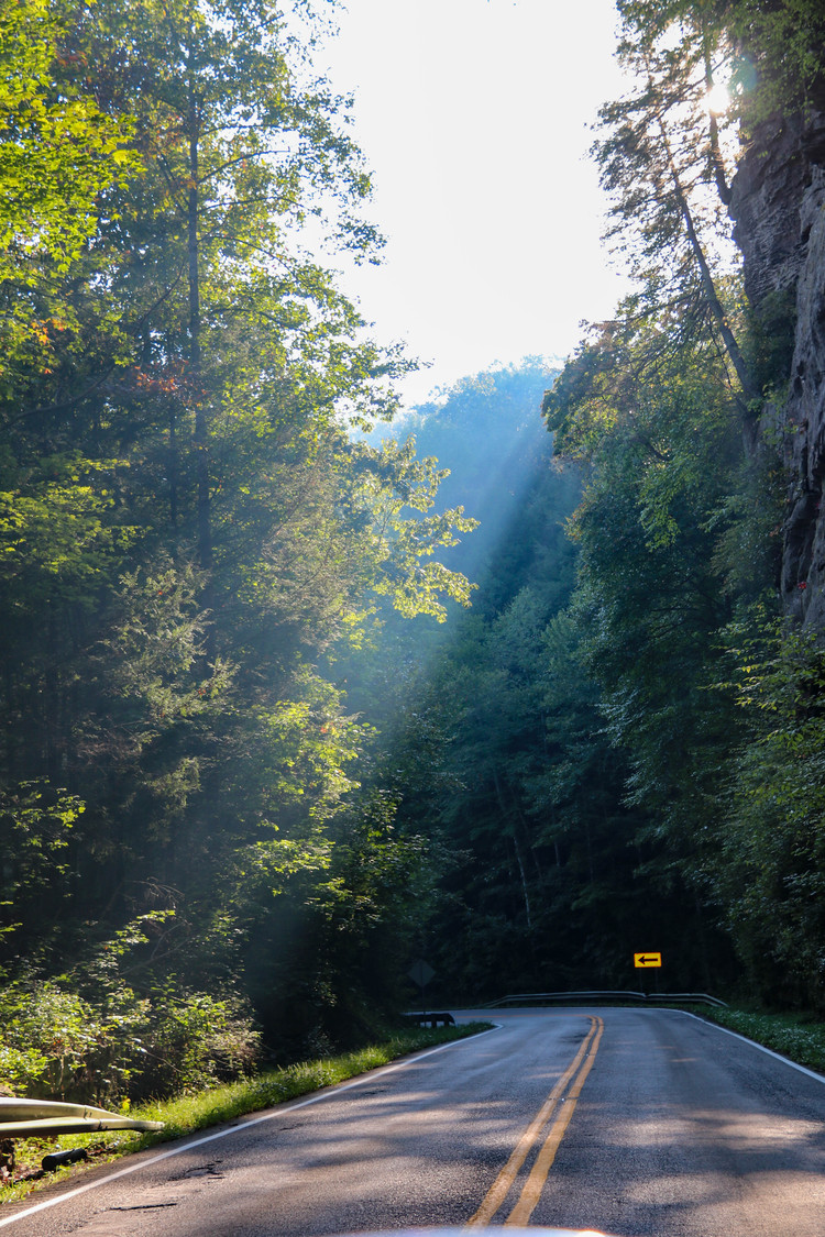 morning light in Kentucky