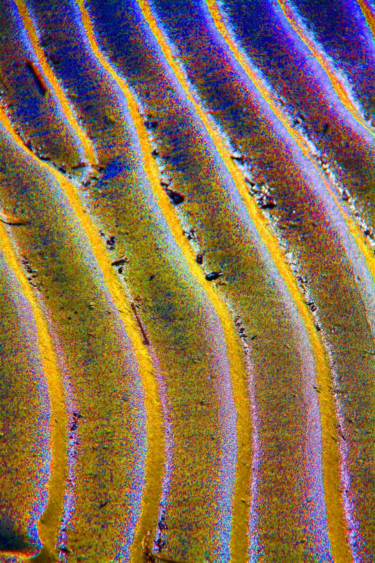 misc_ripples in the sand_075