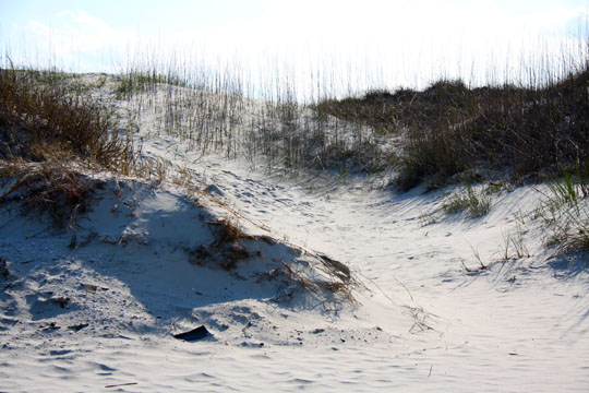 ga_dunes_047