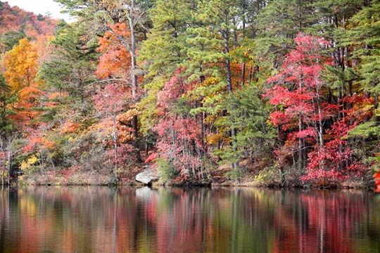 landscape-south-north carolina