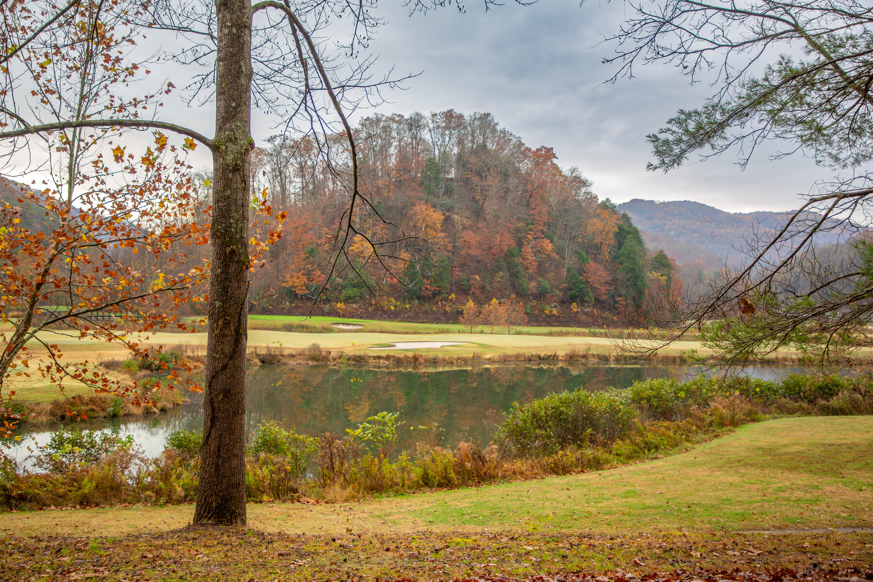 fall golf course