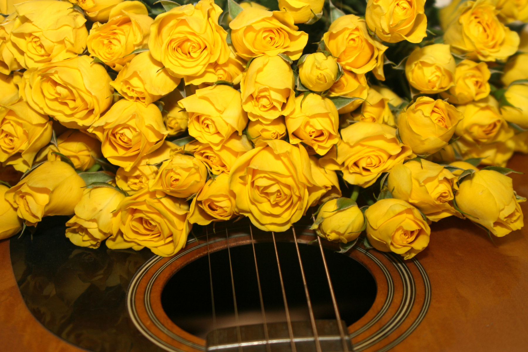 Roses and guitar