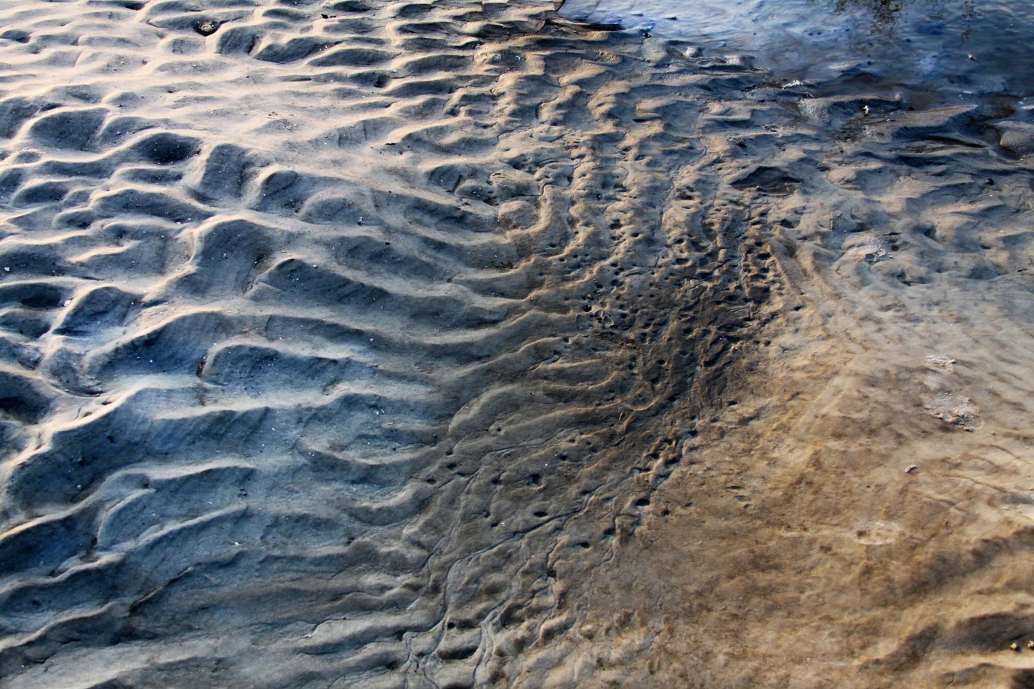 ripples