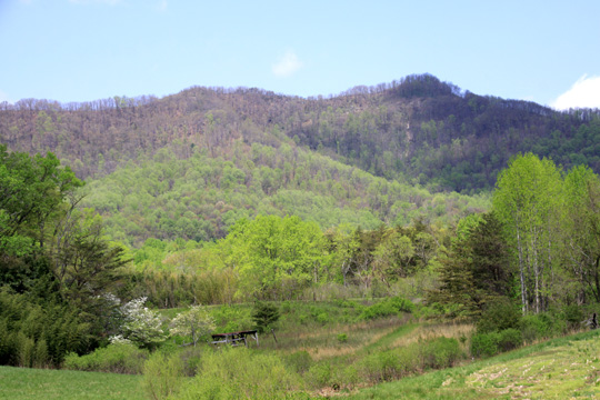 wv_mtns in spring_